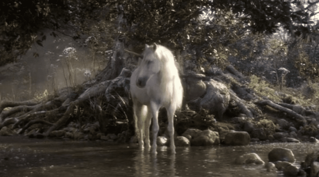 Unicórnio